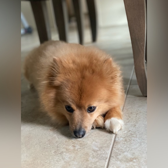 Meet your Posher, Patricia - Picture 4 of 13